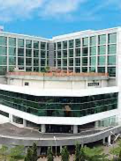 Fissure in Sandstone