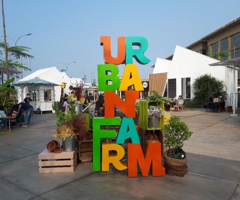 Fissure in Sandstone